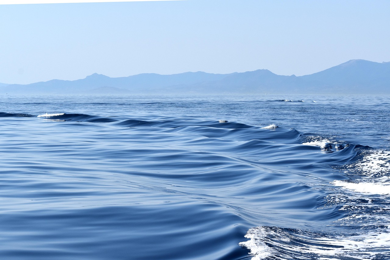 静かに水温を上げていく日本の近海が、そこに集まる魚たちの顔ぶれを大きく変えつつあります。